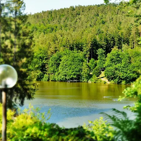 Dreiburgensee Naturhotel & Im Bayrischen Wald Hotel *