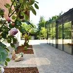 Dreiburgensee Naturhotel & Im Bayrischen Wald فندق *